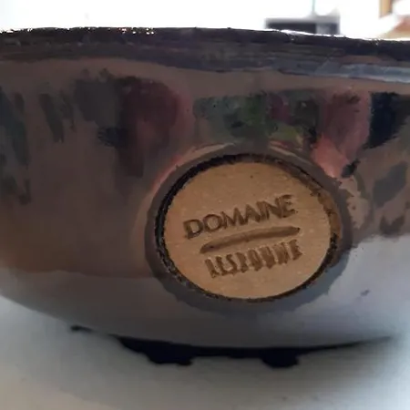 Domaine Lespoune Couette-café 3*